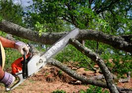 Lawn Grading and Leveling in Shamrock, TX